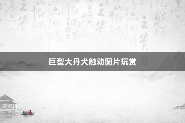 巨型大丹犬触动图片玩赏
